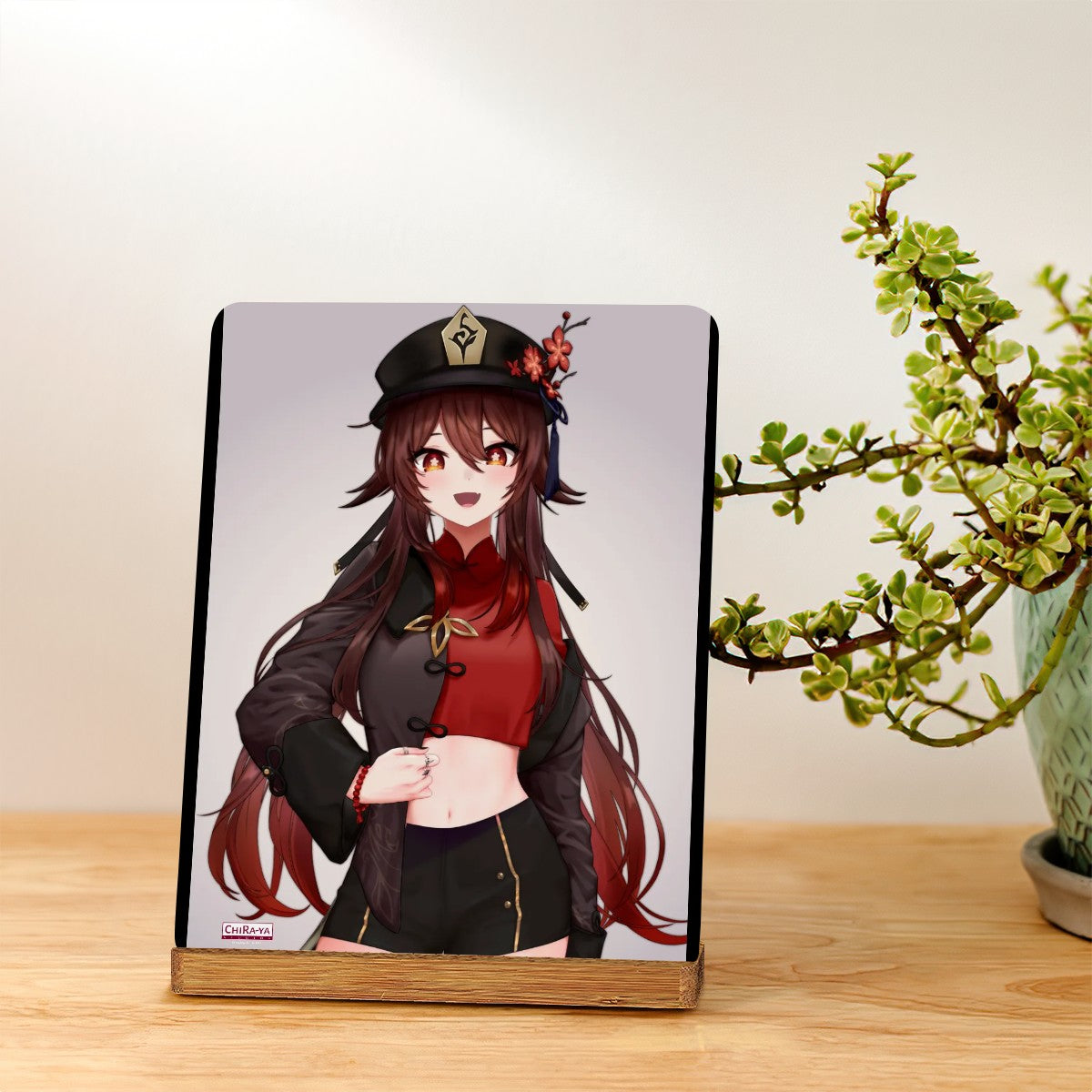Home Decor (Art Display)